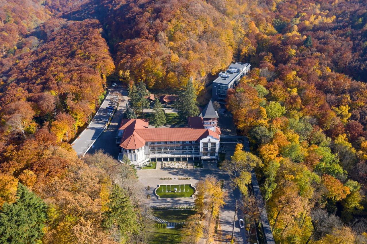Verkhovyna Resort Medical & Wellness Kamjanicja Exteriér fotografie